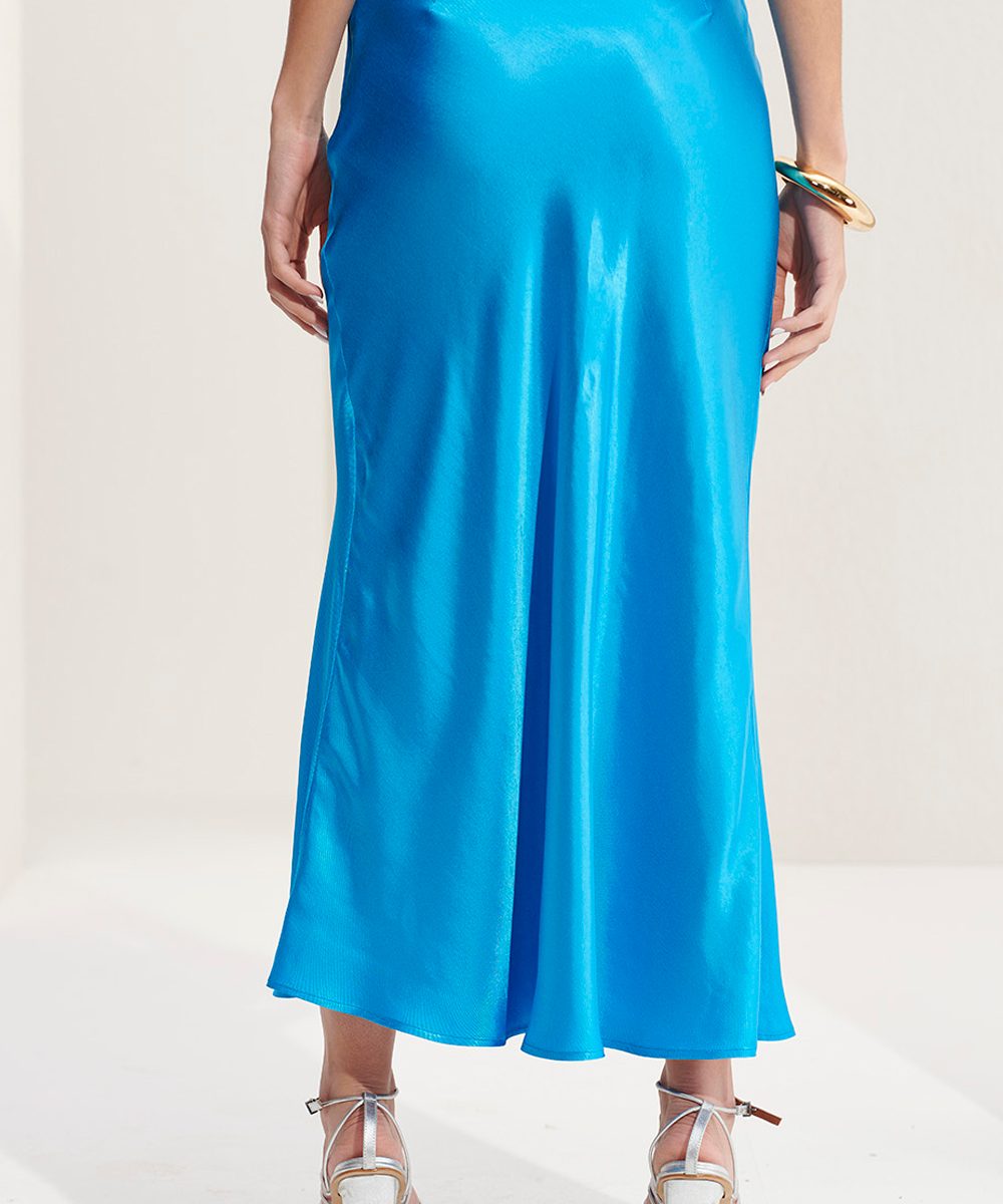 Alternative view of SAIA ACETINADA- L´CECCI