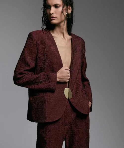 Alternative view of BLAZER FORTINI VINHO - LINI