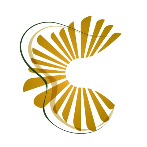 Clareô Brasil
