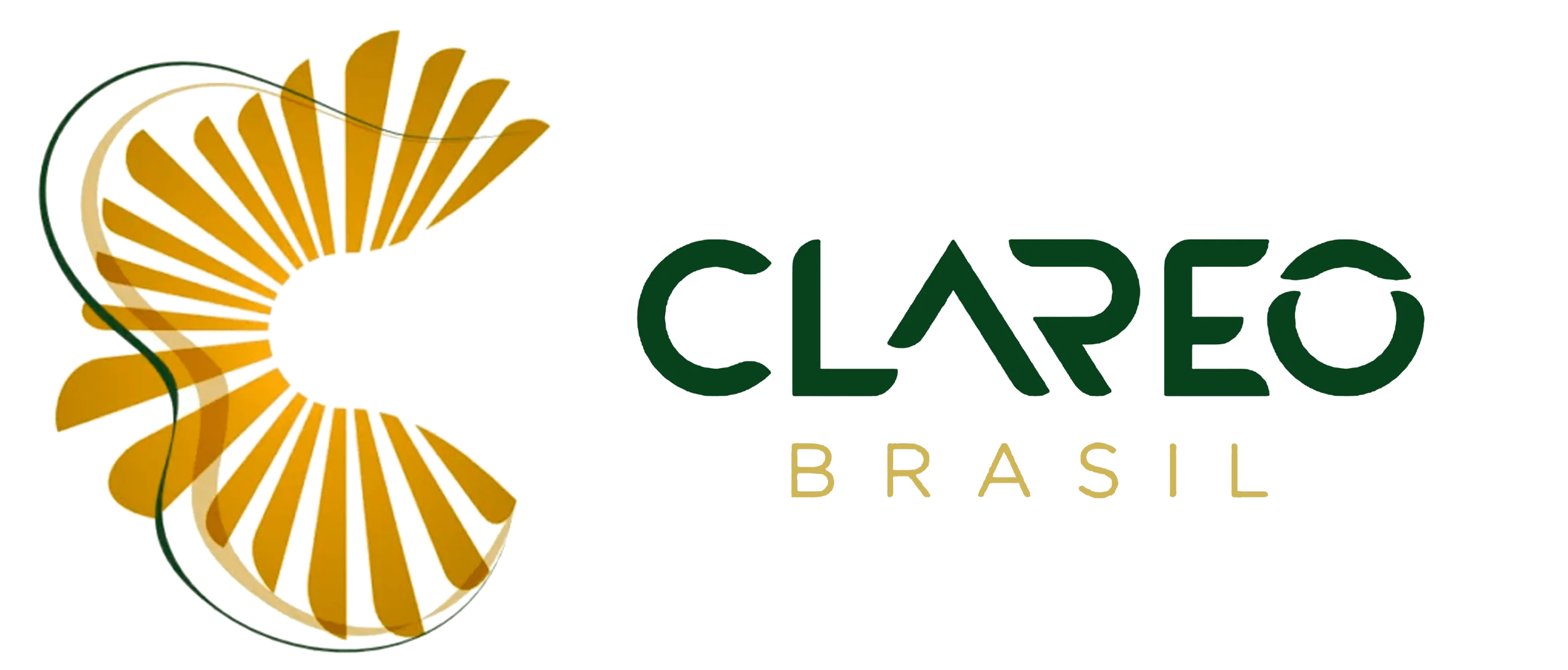 Clareô Brasil
